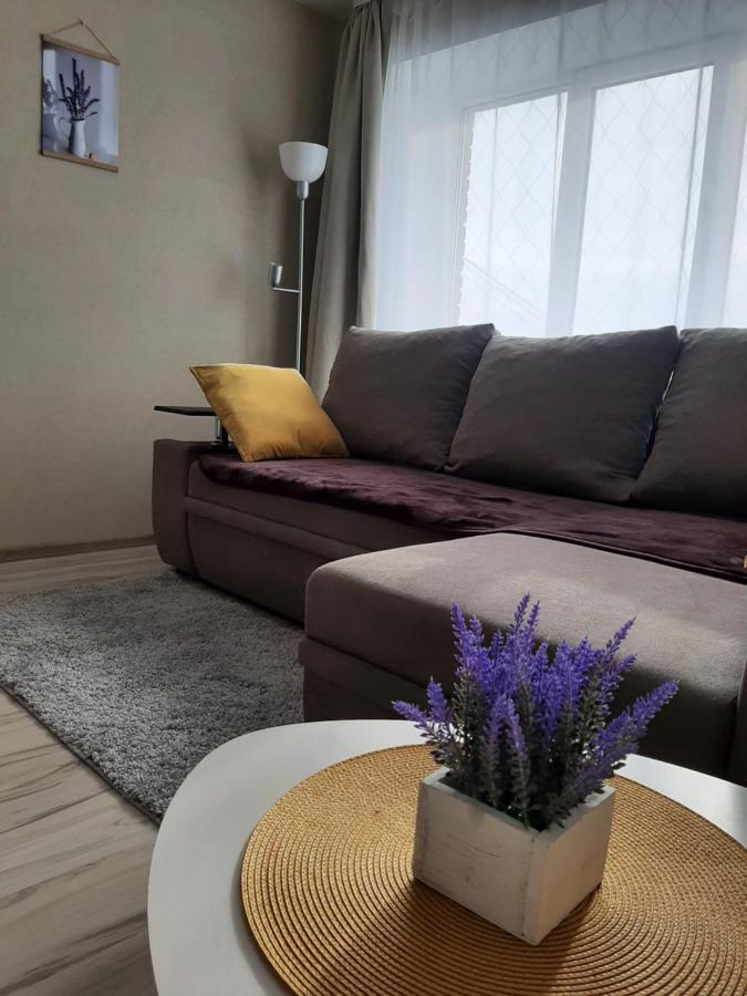 Ir Apartment Rēzekne المظهر الخارجي الصورة